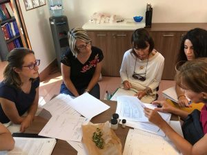 Discussione e confronto sui dati analitici ottenuti per l’erisimo di Milano
