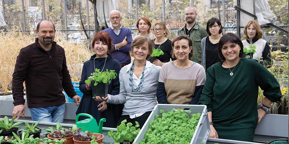 Il Team di Erisimo a Milano